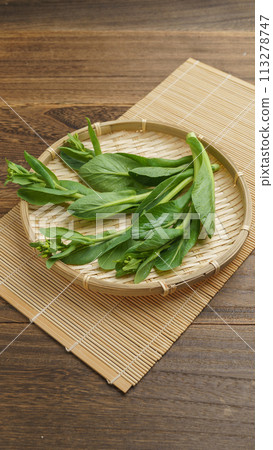 小松帶芽（小松油菜花） 113278747