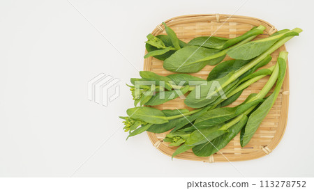 Komatsuna (Komatsuna rapeseed flowers) with buds 113278752