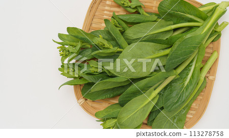 Komatsuna (Komatsuna rapeseed flowers) with buds 113278758
