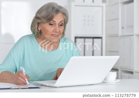 Senior business woman working in office with laptop 113278779