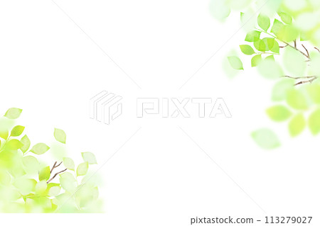 清爽透明的清新綠框 113279027