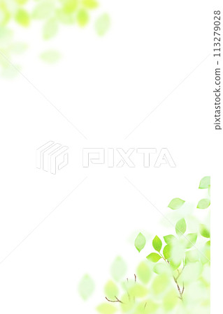 清爽透明的清新綠框 113279028