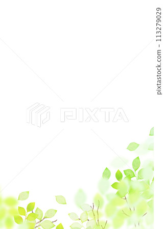 A refreshing and transparent frame of fresh greenery 113279029