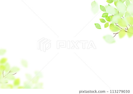 清爽透明的清新綠框 113279030