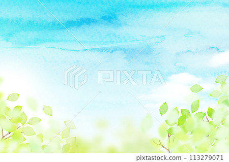 清爽的藍天和新鮮的綠色植物的框架 113279071