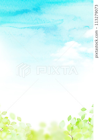 清爽的藍天和新鮮的綠色植物的框架 113279073