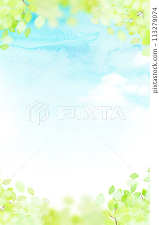 Refreshing blue sky and fresh green frame 113279074