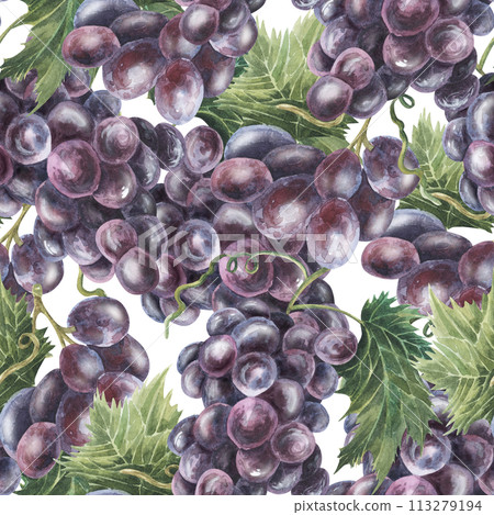 Purple blue grapes, watercolor, seamless pattern. Hand drawn. For kitchen textile, fabric, packaging, wallpaper. Food illustration 113279194