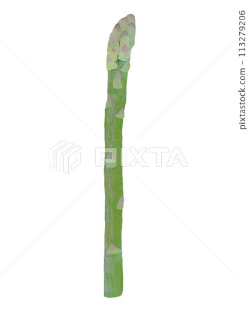 1 asparagus 113279206