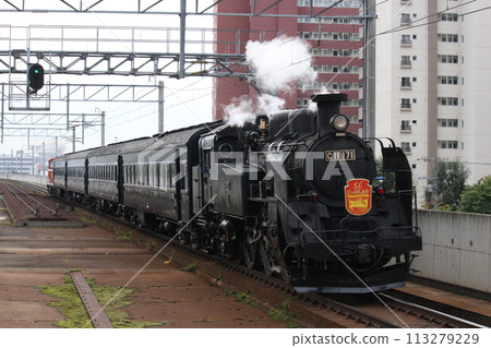 SL日本丸 113279229