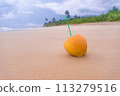 A small, unpeeled coconut sits on the sand at the beach 113279516