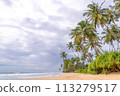 A beach with palm trees and a cloudy sky 113279517