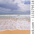 The ocean is calm and the sky is cloudy 113279518