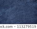 Back surface of leather sheet 113279519