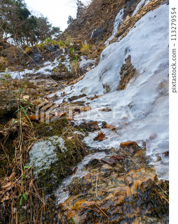 冰凍的山地表面 113279554