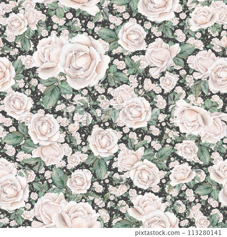 Light pink roses seamless pattern. Light cream roses arrangement. collection garden flowers and leaves. watercolor hand painting illustration on isolate background. For wedding invitations Light pink roses seamless pattern. Light cream roses arrangement. collection garden flowers and leaves. watercolor hand painting illustration on isolate background. For wedding invitations 113280141