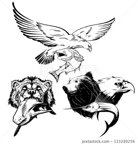 Bear and eagle hunting fish 113280256