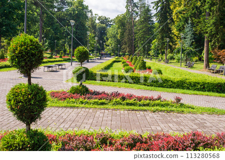Public park with lush flowers, trees and bushes in summer 113280568