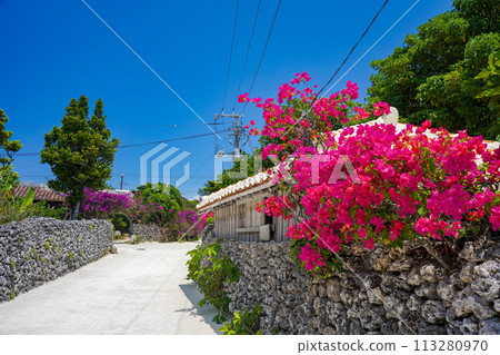 Okinawa: Red tiled roofs surrounded by stone walls, white sand roads and bougainvillea 113280970