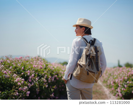 woman enjoying the aroma in Field of Damascena roses in sunny summer day . Rose petals harvest for rose oil perfume production. village Guneykent in Isparta region, Turkey a real paradise for eco woman enjoying the aroma in Field of Damascena roses in sunny summer day . Rose petals harvest for rose oil perfume production. village Guneykent in Isparta region, Turkey a real paradise for eco 113281000