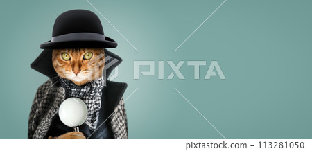 A cat with a magnifying glass dressed as a detective or sleuth. A cat with a magnifying glass dressed as a detective or sleuth. 113281050