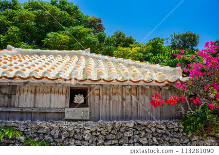 Okinawa Taketomi Island red tile roof and shisa Okinawa Taketomi Island red tile roof and shisa 113281090