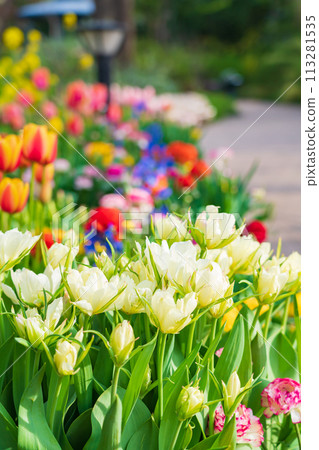 春天的久屋大通花園Florie,花朵盛開<愛知縣名古屋市> 春天的久屋大通花園Florie,花朵盛開<愛知縣名古屋市> 113281535