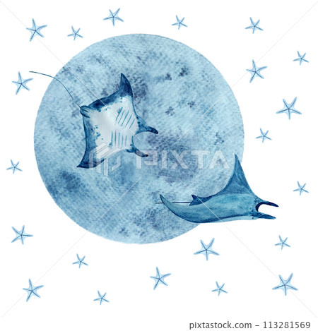 Watercolor hand-drawn manta ray, starfish and a moon composition isolated on white 113281569