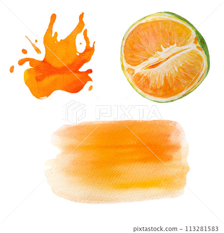 Green orange fruit and color splash watercolor set isolated on white 113281583