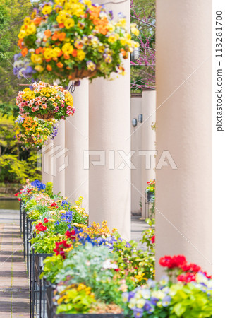 春天的久屋大通花園Florie，花朵盛開<愛知縣名古屋市> 113281700