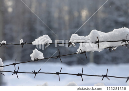 Barbed wire on the fence against light background in the winter cloudy day. Barbed wire on the fence against light background in the winter cloudy day. 113281836