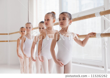 Group portrait of of elegant pretty little girls, ballerinas in leotards practicing poses at classical ballet school. 113282262