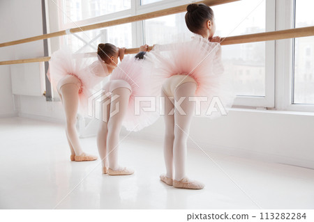 Little girls, pre-school dancers in tutus practice at ballet barre, view from behind. Classical ballet school. 113282284