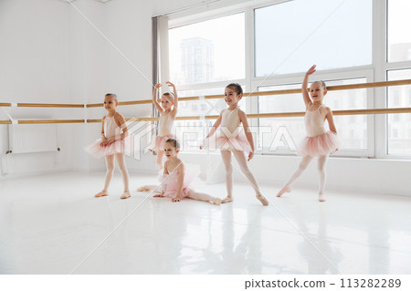 Group of little girls in ballet attire performing various dance movements at modern dance studio. Classical ballet school. 113282289