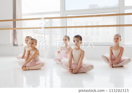 Little, charming pre school girls, ballerinas in pink tutus stretching legs before training at modern dance studio. Classical ballet school. Little, charming pre school girls, ballerinas in pink tutus stretching legs before training at modern dance studio. Classical ballet school. 113282315