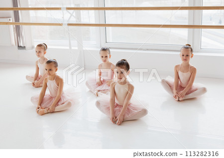Group portrait of little cute girls i pink tutus stretching sitting on floor and modern light dance studio. Classical ballet school. Group portrait of little cute girls i pink tutus stretching sitting on floor and modern light dance studio. Classical ballet school. 113282316