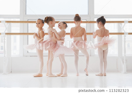 Young ballet class, pre-school girls in tutus standing at barre, training facing large window. Classical ballet school. 113282323