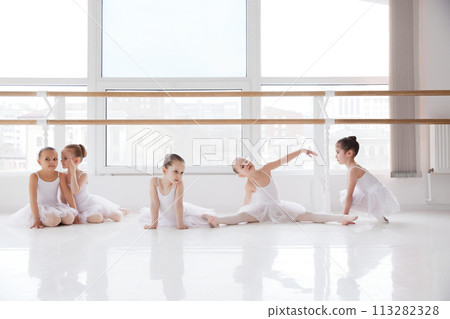 Children, little girls in ballet attire focusing on dance exercises at studio barre. Classical ballet school. Children, little girls in ballet attire focusing on dance exercises at studio barre. Classical ballet school. 113282328