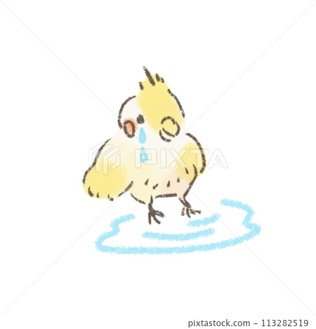 哭泣的玄鳳鸚鵡的可愛插圖 哭泣的玄鳳鸚鵡的可愛插圖 113282519