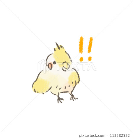 驚訝的玄鳳鸚鵡的插圖 驚訝的玄鳳鸚鵡的插圖 113282522