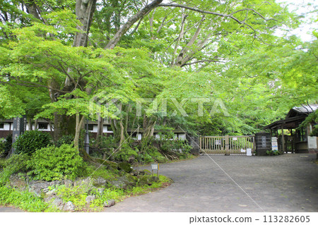 Rakujuen / 19 Ichibancho, Mishima City, Shizuoka Prefecture 113282605