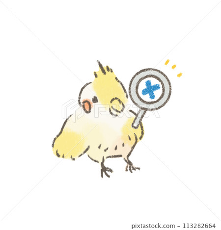 玄鳳鸚鵡拿著放大鏡並給出錯誤答案的插圖 玄鳳鸚鵡拿著放大鏡並給出錯誤答案的插圖 113282664