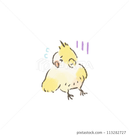 失望的玄鳳鸚鵡的可愛插圖 失望的玄鳳鸚鵡的可愛插圖 113282727