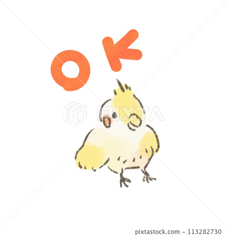 帶有 OK 標記的玄鳳鸚鵡插圖 帶有 OK 標記的玄鳳鸚鵡插圖 113282730