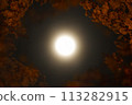 Saitobaru Night Cherry Blossoms Moonlit Night Miyazaki 113282915