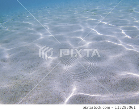 沖繩宮古島美麗的水下風景 113283061