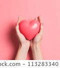 Woman hands holding red heart 113283340