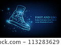 Human foot line, foot and leg, knee and toe, digital business concept, futuristic digital innovation background vector illustration. 113283629