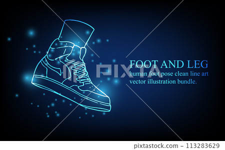 Human foot line, foot and leg, knee and toe, digital business concept, futuristic digital innovation background vector illustration. 113283629
