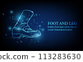 Human foot line, foot and leg, knee and toe, digital business concept, futuristic digital innovation background vector illustration. 113283630